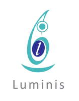 Luminis consulting services pvt. ltd.
