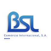 Bsl group international srl