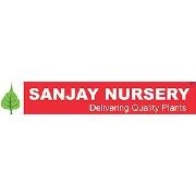 Sanjay nursery - india