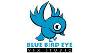 Blue bird eye vfx studio