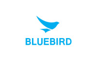 Bluebird infotech