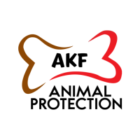 Animal Kingdom Foundation, Inc.