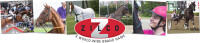 Zilco International