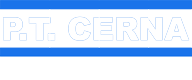 P.t. cerna corporation