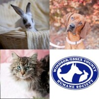 Windsor Essex County Humane Society