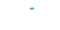 Regent capital partners