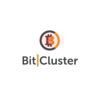 Bitcluster