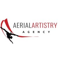 Aerial Artistry