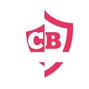 Cb security services limited