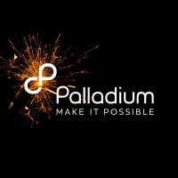 Palladium industria e comercio