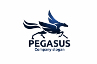 Pegasus tecnologia