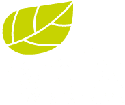 Radix investimentos florestais