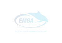 East midlands swimming academy