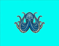 Octopus think