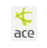 Ace asbestos limited