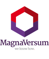 Magnaversum