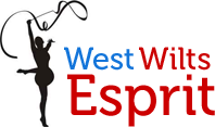West wilts esprit gymnastics club