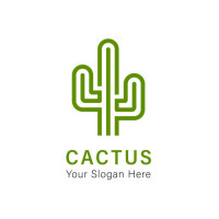Cactus conseil