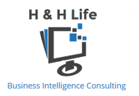 H & h life bi consulting