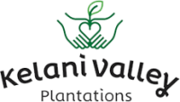 Kelani valley plantations plc