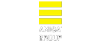 Amisa group s.a. de c.v.