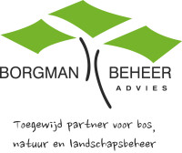 Borgman Beheer Advies Forestry Consultants