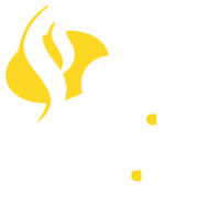 Médica san juan