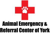 Animal emergency clinic, pa