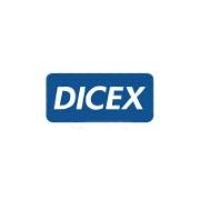 Dicex international inc.