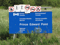 Prince Edward Point Bird Observatory