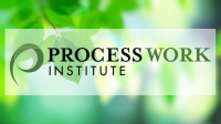 Process work institute