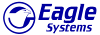 American eagle systems, inc