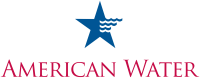 The american water company