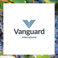 Vanguard international group