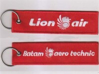PT Lion Air - Batam Aero Technic, Lion Technic Design Organization Department