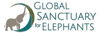 Global sanctuary for elephants
