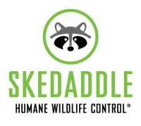 Skedaddle