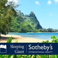 Sleeping giant sotheby's international realty