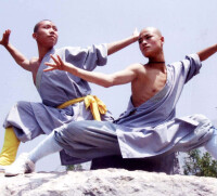 Authentic Shaolin Kung-Fu