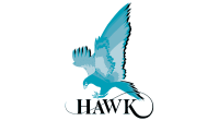 Hawk measurement systems