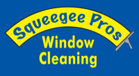 Squeegee pro