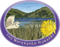 The watershed nursery