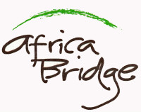 Africa bridge