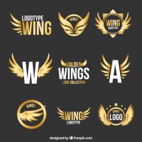 Wings on Words