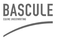 Bascule international group