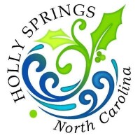 City of holly springs, regional technology center