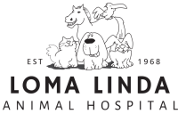 Loma linda animal hospital inc