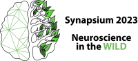 Synapsium