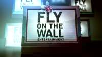 Fly on the wall media