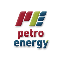 Pt. petro papua energi